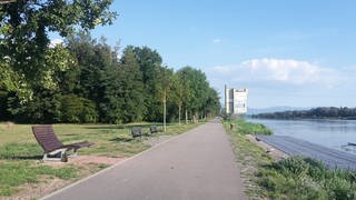 Blick auf den Rhein am rechten Bildrand und einen Uferweg am linken Bildrand.