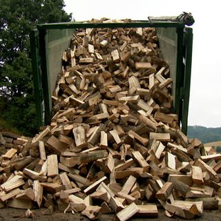 Holzstämme werden von einer Maschine hochgehoben.