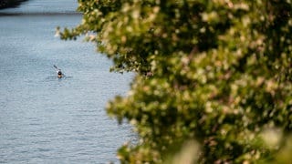 Drei Männer kentern mit Kanu im Altrhein bei Neuenburg-Grißheim.