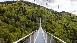 Eine Hängebrücke führt über ein Tal nahe Todtnauberg.