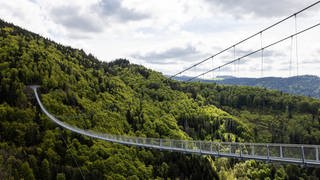 Eine silberene Hängebrücke aus Edelstahl überspannt ein Tal mit Wasserfall.