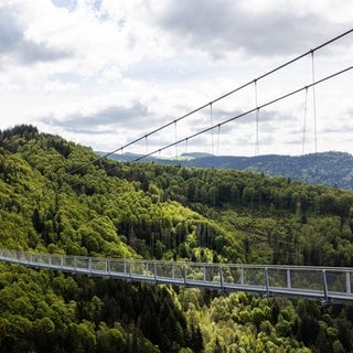 Eine silberene Hängebrücke aus Edelstahl überspannt ein Tal mit Wasserfall.