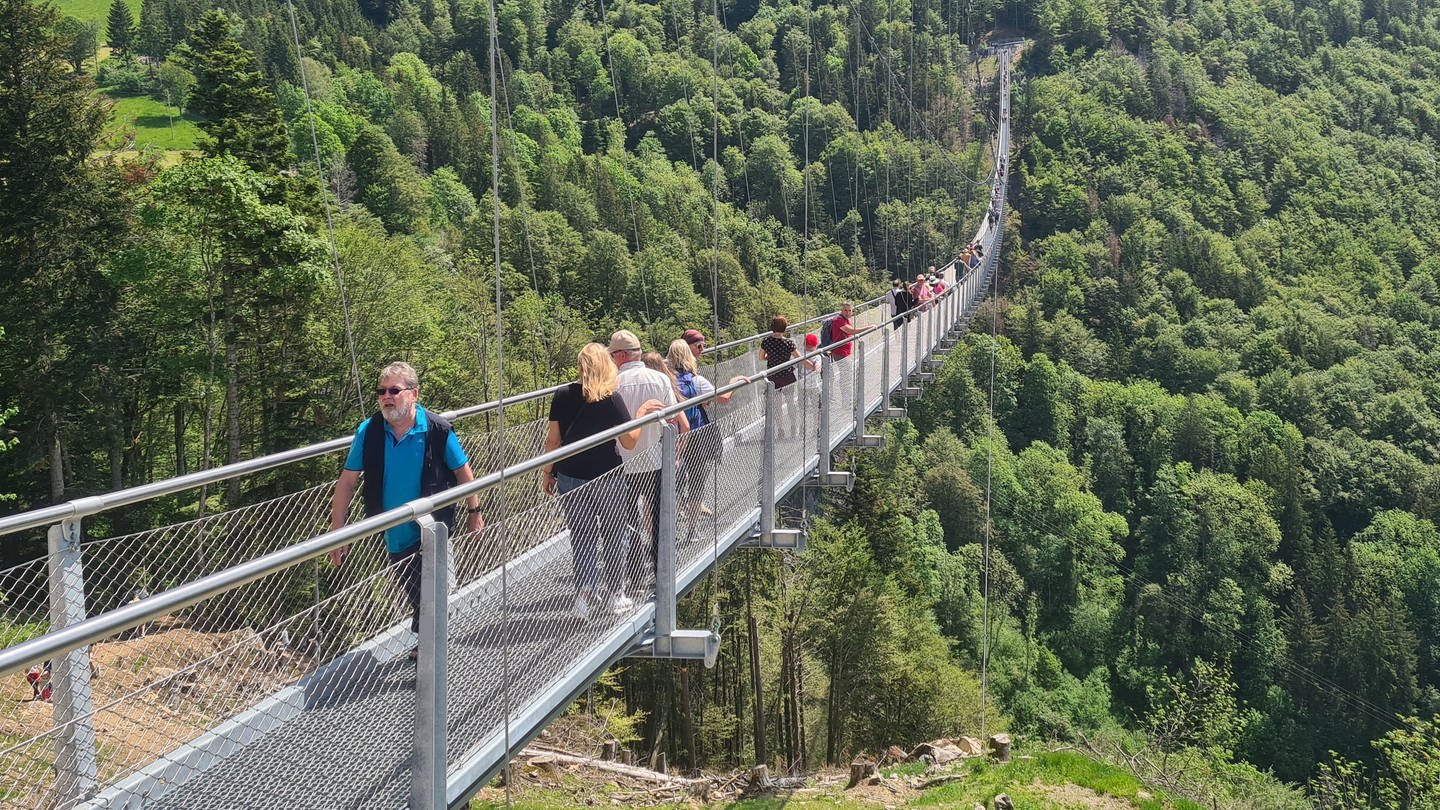 Viele Ausflügler haben am langen Pfingstwochenende die neue Hängebrücke in Todtnauberg getestet.