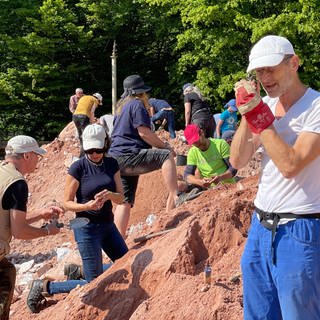 Mineraliensucher auf der großen Halde der Grube Clara