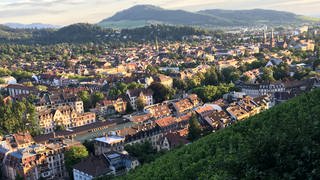 Ein Gutachterausschuss hat die Bodenrichtwerte für die Stadt Freiburg vorgestellt.