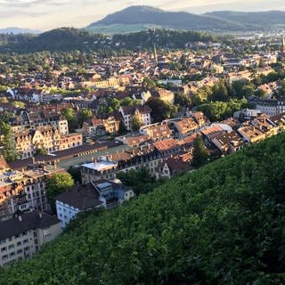 Ein Gutachterausschuss hat die Bodenrichtwerte für die Stadt Freiburg vorgestellt.