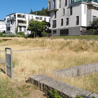 Trockene Grasfläche mit weißen Häusern im Hintergrund