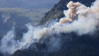 Im Wald in den Schweizer Bergen brennt es - die Feuerwehrleute kämpfen von der Luft und vom Land gegen die Flammen. 