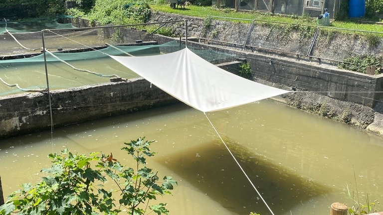 Über einem Teich hängt ein weißes Segeltuch. Es spendet Schatten über dem Wasser.