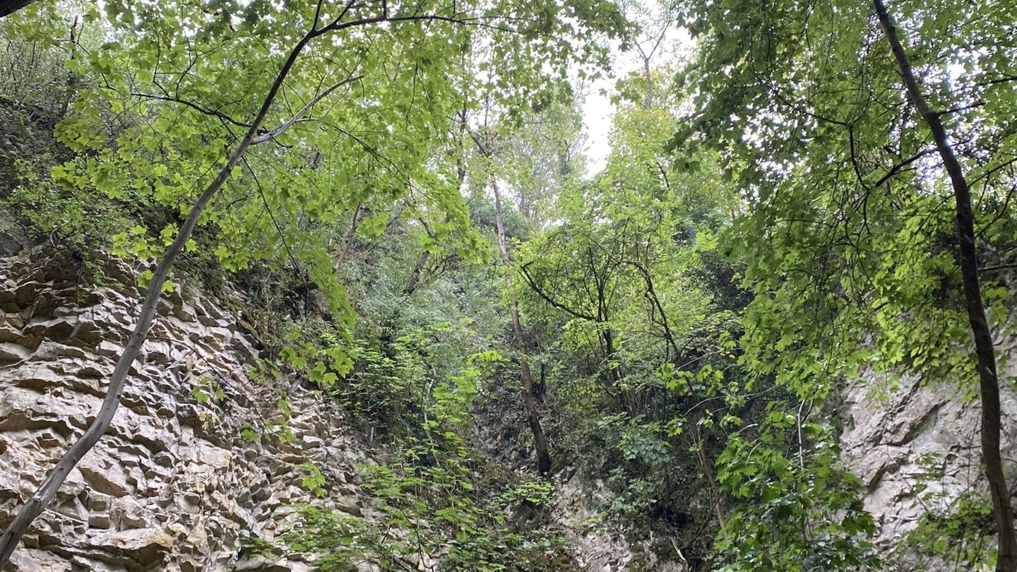 Auf der Runie Wartenberg bei Basel ist eine Frau rund 20 Meter von einem Felsen in die Tiefe gestürzt.