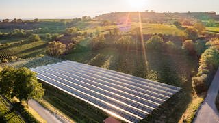 Die Photovoltaikanlage in Freiburg-Munzingen ist eine Art Überbau über den Weinreben und schützt sie so vor Hagel und zu viel Sonneneinstrahlung. Laut dem Energieversorger und Betreiber badenova ist es die erste ihrer Art.