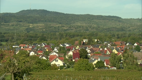 Luftaufnahme von Gottenheim. Der Ort liegt am Tuniberg zwischen Freiburg und Kaiserstuhl.