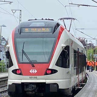 Zu sehen ist ein Zug der S-Bahn S6 in Lörrach. Seit August hat ein Unbekannter Gegenstände auf die Gleise belegt. Meist waren es Betonplatten.