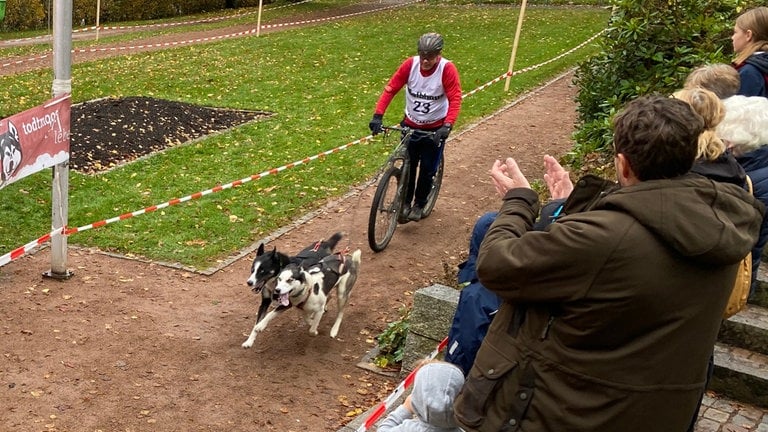 Wissen was 2023 war und bares Geld beim Quiz "SWR1 Tasse oder Kasse" gewinnen. (Foto: Schlittenhunderennen in Todtmoos)