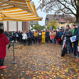 AfD Kundgebung in Steinen