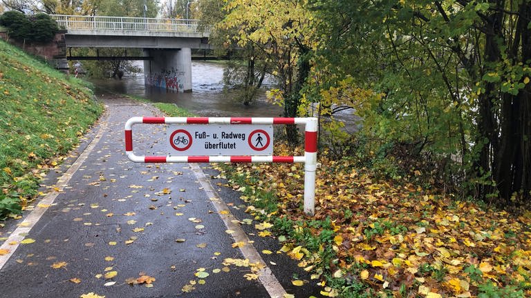 Aufgrund des Dauerregens hat der Fluss Wiese in Lörrach Hochwasser.