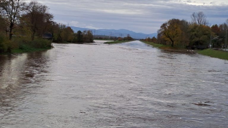 Der Fluss Elz bei Riegel am Kaiserstuhl führt aktuell viel Wasser.
