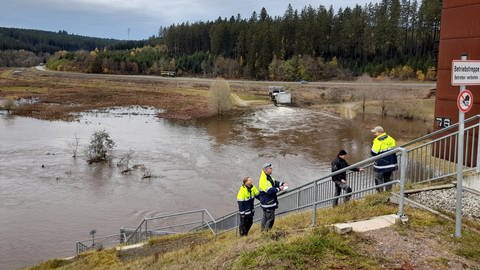 Das Hochwasserrückhaltebecken in Wolterdingen.