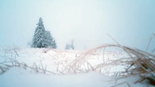 Schnee auf dem Feldberg