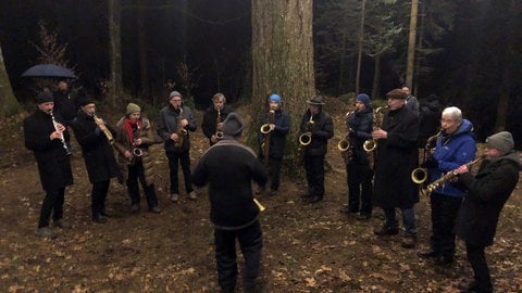 Bläser geben im Wald bei Dunkelheit ein Konzert. Laternen in den Wipfeln beleuchten die kleine Lichtung.