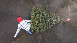 Alte Weihnachtsbäume können ab der nächsten Woche entsorgt werden. Für Südbaden gibt es hier verschiedene Recyclingmöglichkeiten. 