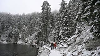 Am Mummelsee im Schwarzwald sind Bäume und Wege mit Neuschnee bedeckt.