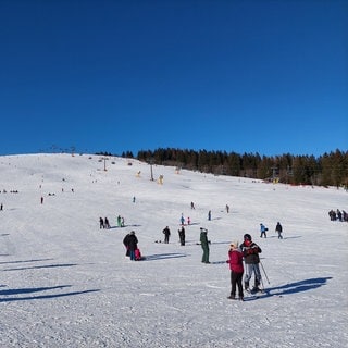 Skifahrerinnen und Skifahrer toben sich auf der Piste Feldberg Seebrugg aus.