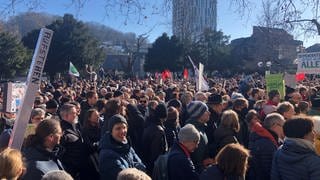 Menschen demonstrieren in Lörrach gegen Rechtsextremismus