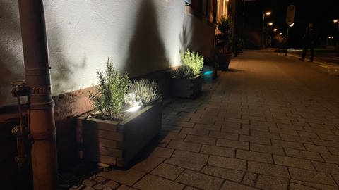 Künstliches Licht in der Nacht, sogenannte Lichtverschmutzung, schadet Mensch, Tier und Pflanze.