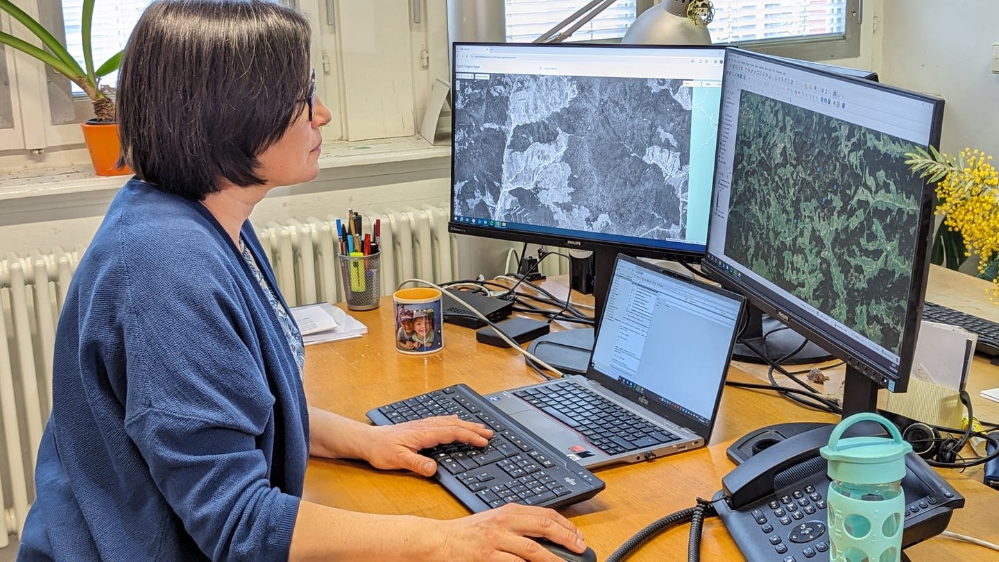 Wissenschaftlerin Catalina Munteanu vergleicht an ihrem Computer ein historisches Satellitenbild mit aktuellen Aufnahmen.