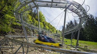 Am Wochenende öffnen in Südbaden wieder viele Freizeitparks, auch der Steinwasenpark in Oberried.