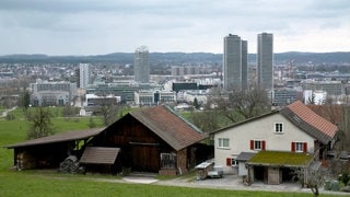 Holzhaus vor Stadtskyline Basel