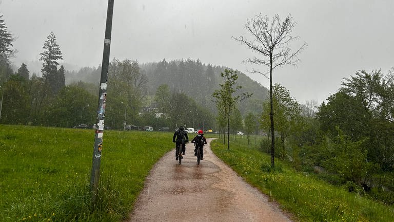 Neben dem Dreisamstadion laden Fahrradhändler und -fans zum gucken, anfassen und selbst testen ein.