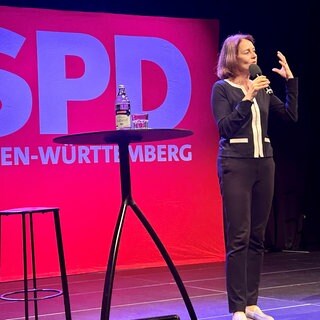 Katarina Barley auf dem SPD Frühlingsempfang in Freiburg 