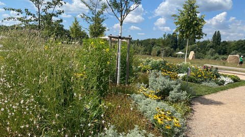 Blumenbeete und Grünanlagen auf der Landesgartenschau. 