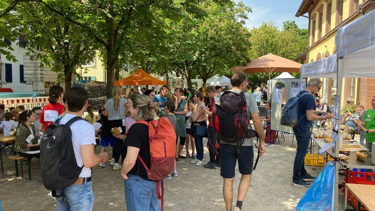 Rund 900 Personen haben beim vierten Rainforest Run in Freiburg teilgenommen.