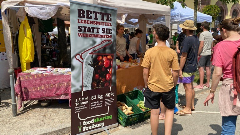 Rund 900 Personen haben beim vierten Rainforest Run in Freiburg teilgenommen.