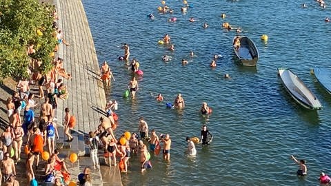 Beim Rheinschwimmen sind viele Menschen im Rhein. Manche steigen gerade raus und gehen ans Ufer. Das Bild ist von oben aufgenommen worden.