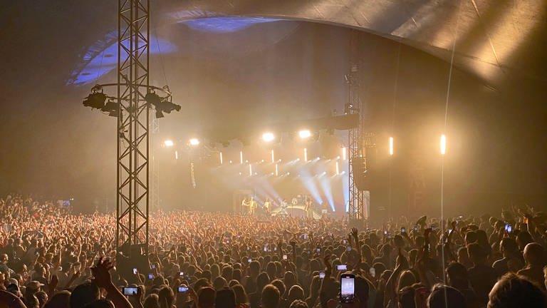 Roy Bianco & Die Abbrunzati Boys stehen auf der Bühne beim ZMF Freiburg 2023.