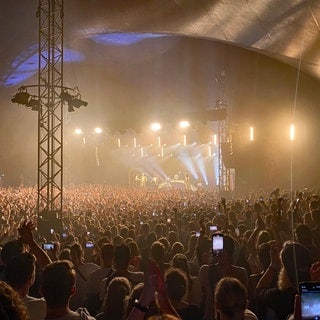 Roy Bianco & Die Abbrunzati Boys stehen auf der Bühne beim ZMF Freiburg 2023.