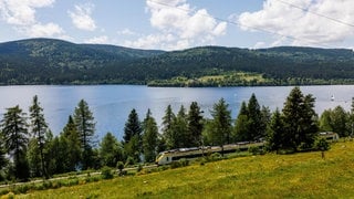 Neben einem großen blauen See, dem Schluchsee, liegen Schienen. Auf diesen fährt ein gelber Dieselzug.