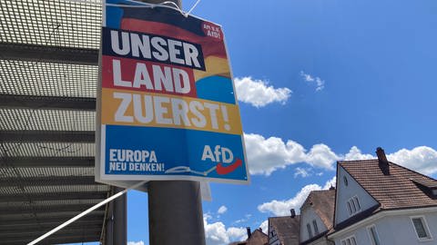 AfD-Plakat für die Europawahl