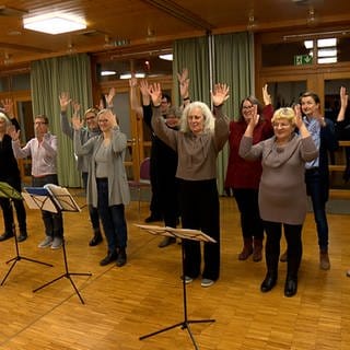 Auf dem Bild ist der Chor Singende Hände zu sehen. Sie stehen in einer Reihe und werfen die Hände in die Luft. Auf Gebärdensprache heißt das "Applaus".