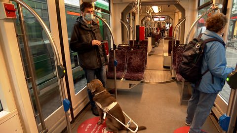 Mann mit Blindenhund fährt in der Straßenbahn