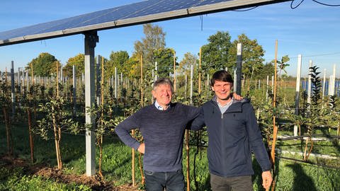 Hansjörg Vollmer und Christoph Vollmer bauen in Oberkirch eine Testanlage für Agri-Photovoltaik auf.