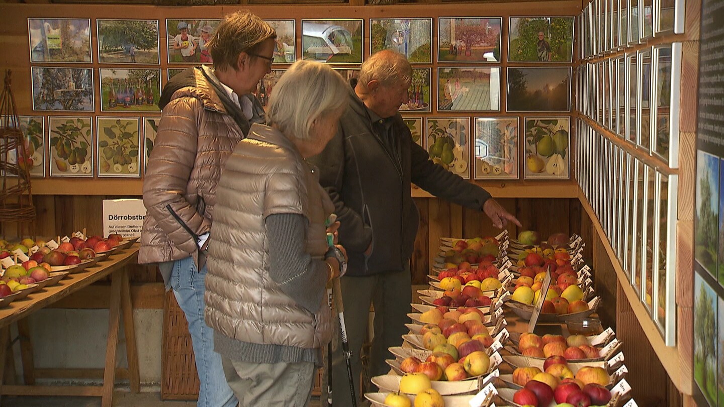 Äpfel soweit das Auge reicht. Landwirt Martin Geng gibt den Besuchern regelmäßig Auskunft. Mit seinem Wissen und den Geschichten zu jeder einzelnen Sorte, zeigt er wie wertvoll der Apfel ist.