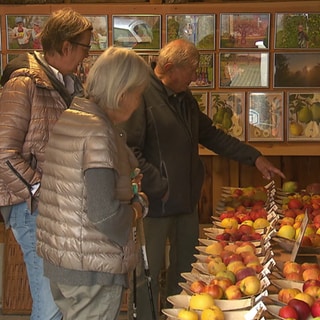 Äpfel soweit das Auge reicht. Landwirt Martin Geng gibt den Besuchern regelmäßig Auskunft. Mit seinem Wissen und den Geschichten zu jeder einzelnen Sorte, zeigt er wie wertvoll der Apfel ist.