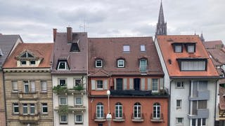 Wohnungen in Freiburg