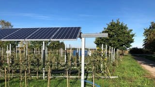 Eine Sensor-gesteuerte Agri-Photovoltaikanlage soll bald in Oberkirch im Testbetrieb laufen.