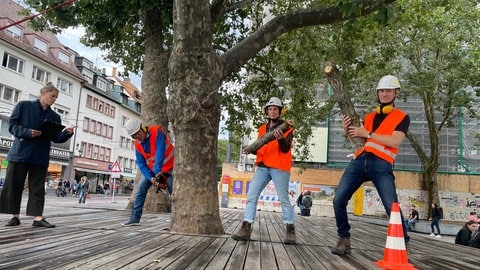 Menschen in Warnweste legen Kettensäge an Baum an